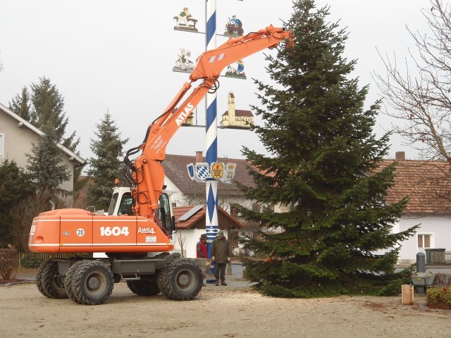 Christbaum 2011